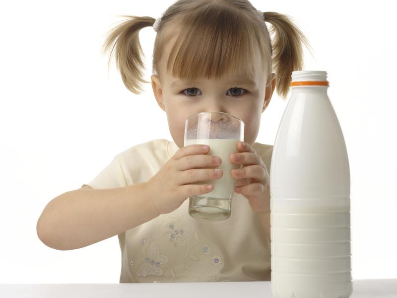 La leche y sus derivados aportan proteínas y calcio