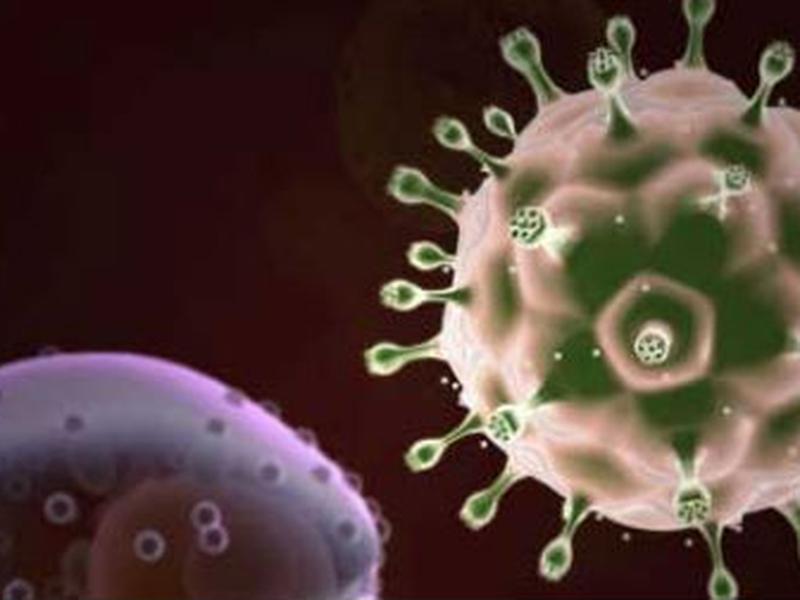 Seth Berkley explica su estrategias para la creación de vacunas contra la gripe y el VIH.