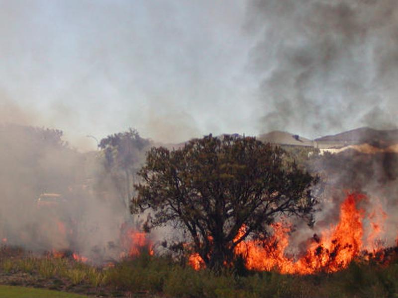 Incendio patagonia