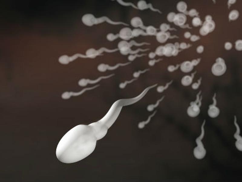 El banco de semen es utilizado vs la infertilidad