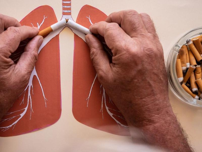 Persona rompe cigarro sobre ilustración pulmones
