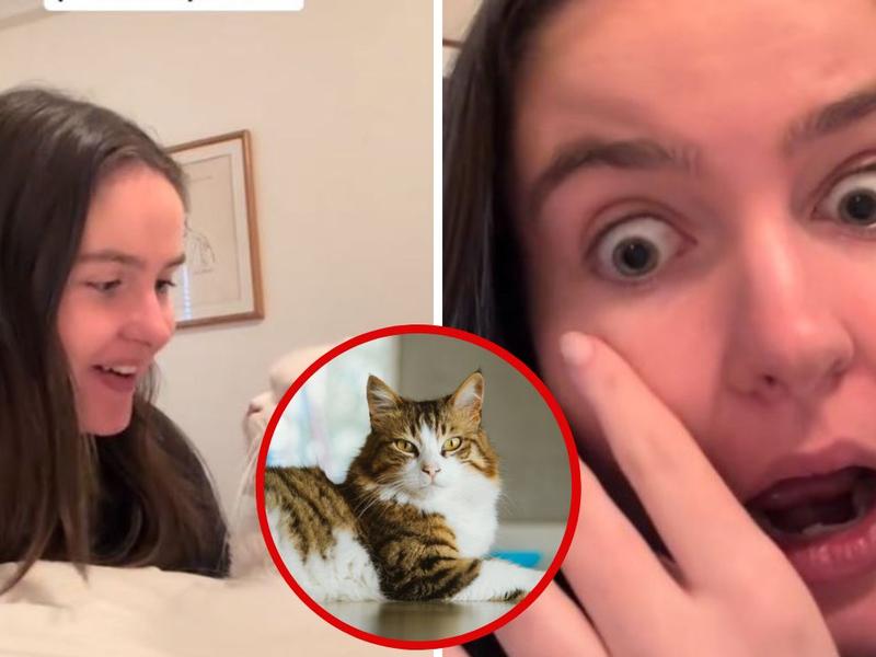 Joven comparte video en el que su gato le rasguña el ojo. 