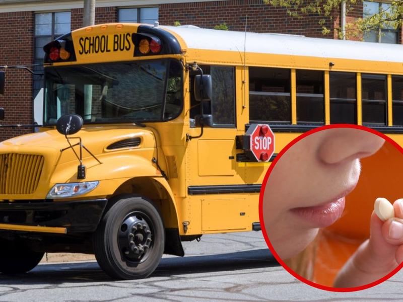 Un niño deambuló por la ciudad tras perderse y quedarse dormido en el autobús.