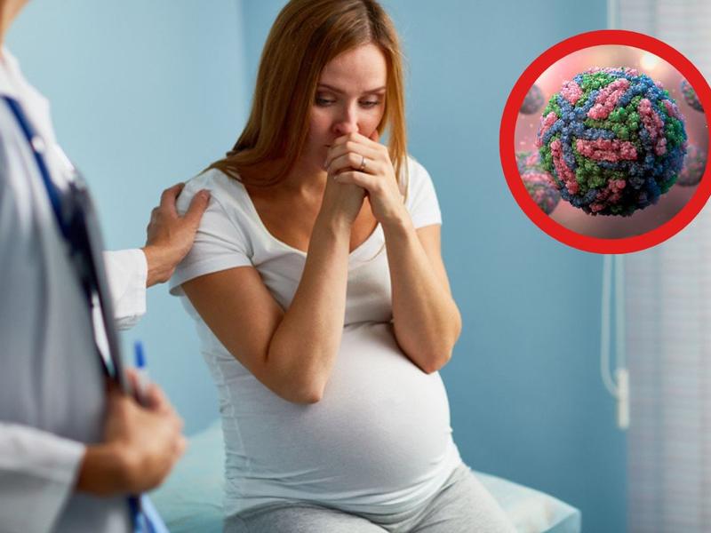 Mujer embarazada preocupada mientras médica le explica cómo evitar malformaciones del feto en el embarazo, ilustración de enfermedad