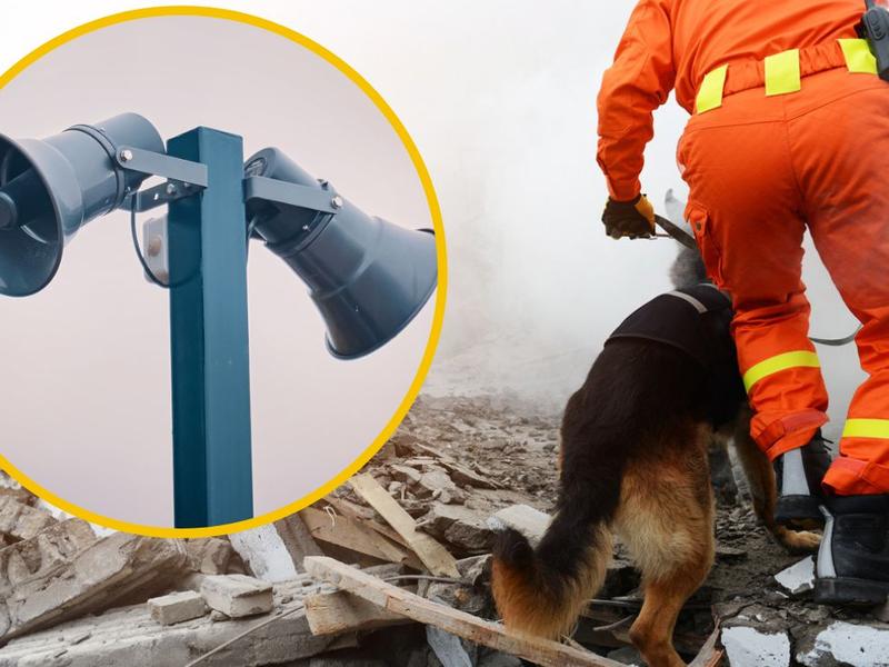 Protección civil busca sobrevivientes de sismo con binomio canino