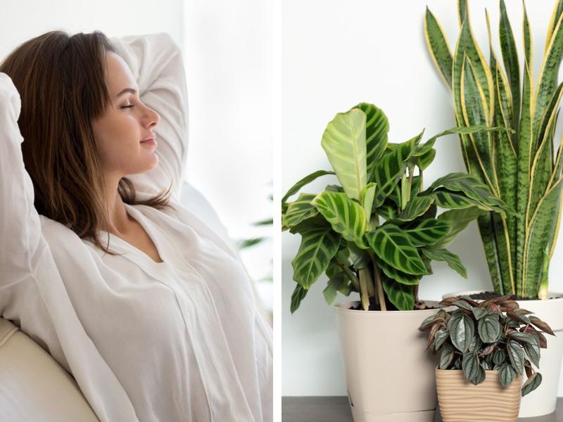 Mujer respira mejor con plantas en casa