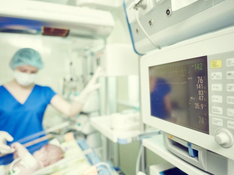 Doctora revida a bebé tras primer trasplante de riñón de cerdo a feto en Japón. 
