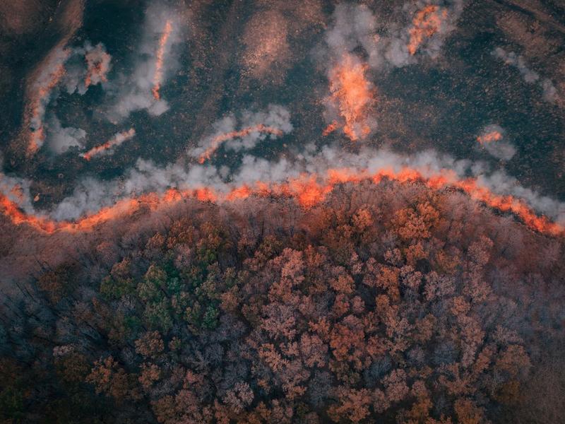 Imagen panóramica de un incendio forestal 