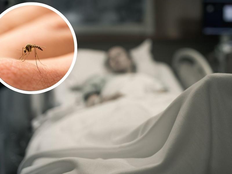 Persona en cama de hospital picadura de mosquito paludismo