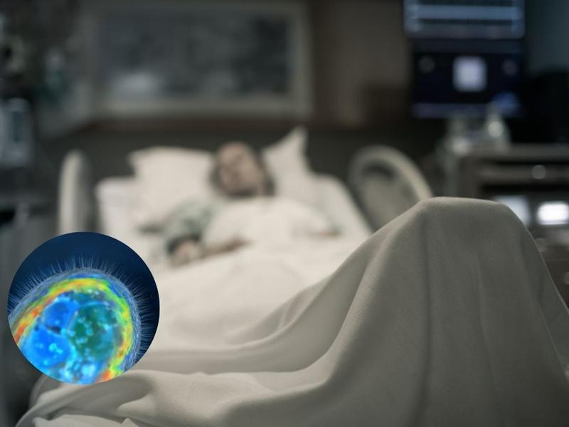 Persona hospitalizada, ilustración de ameba para explicar el caso de una Mujer fue diagnosticada con cáncer cerebral pero tenía una ameba que le comía el cerebro