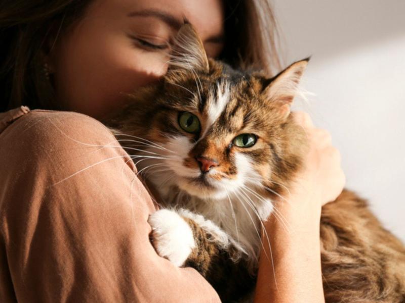 Mujer abrazando a gato para explicar los beneficios de tener uno en casa