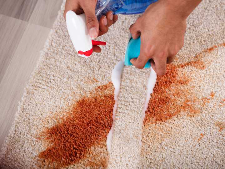 Persona limpiando alfombra con esponja y limpiador natural para eliminar mancha 