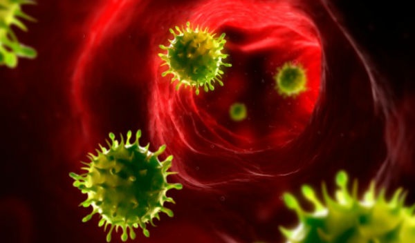 diferencias entre virus y bacteria