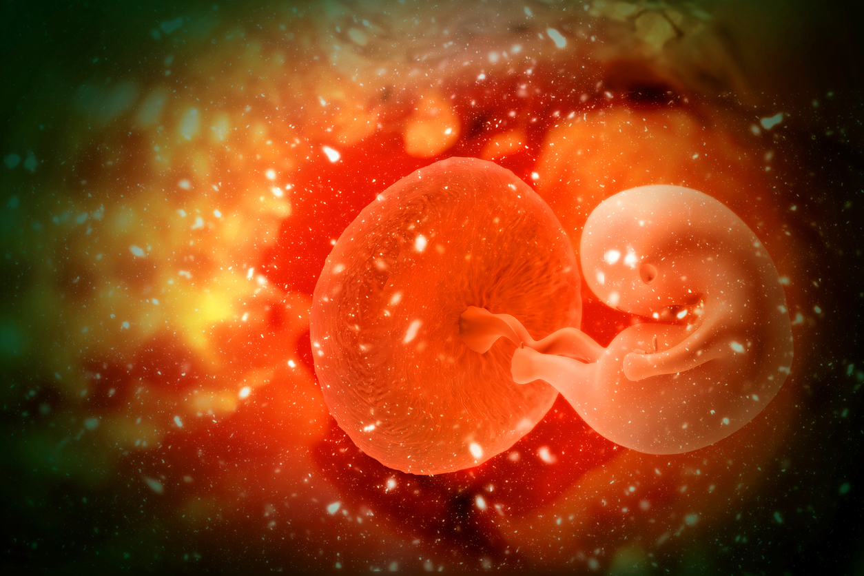 Hipertensión en el embarazo puede provocar cambios en la placenta