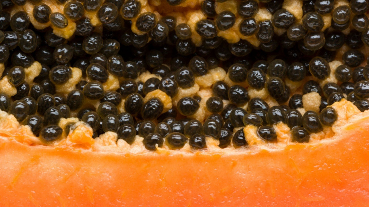 pañuelo Picante directorio Esta es la forma correcta de conservar la papaya fresca por más tiempo y  mejorar su sabor dulce