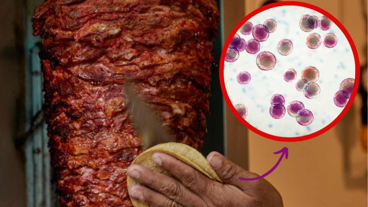 Tacos al pastor are delicious, but are they full of bacteria?