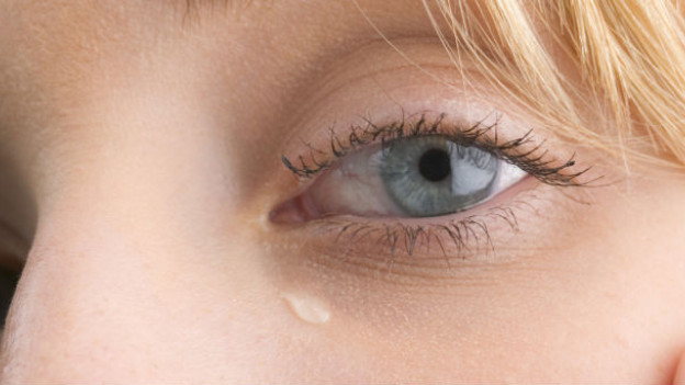 Lágrimas contienen señal química que suprime agresión y libido en los hombres.