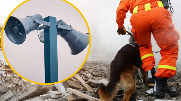 Protección civil busca sobrevivientes de sismo con binomio canino