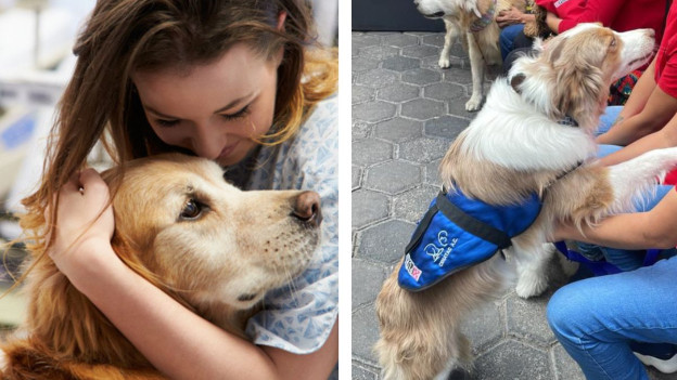 Mujer abrazando a perro, perrita en dos patas para explicar qué es la terapia asistida con perros