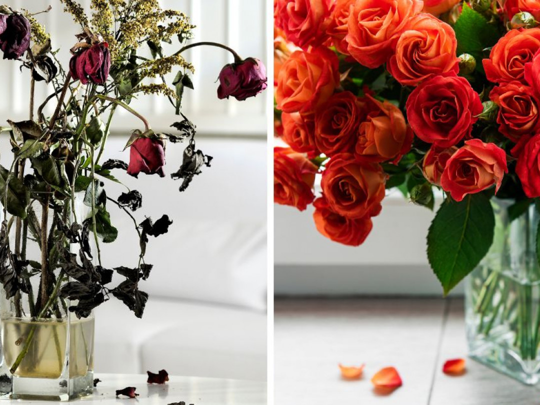 Cómo limpiar los floreros para que no se rayen y no se marchiten tus flores:  8 trucos infalibles