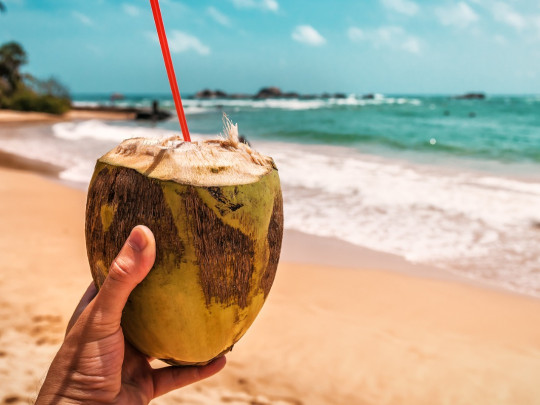 Hombre toma coco sin conocer los 7 beneficios del agua de coco. 