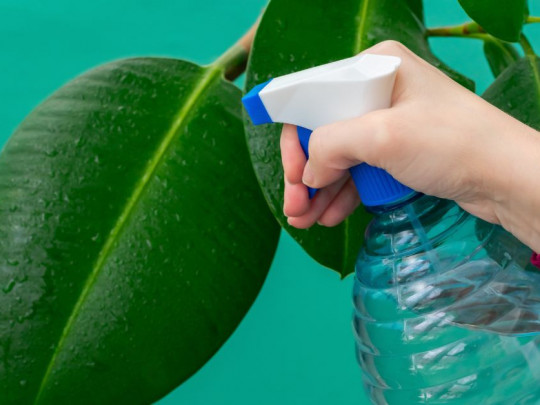 agua oxigenada en las plantas