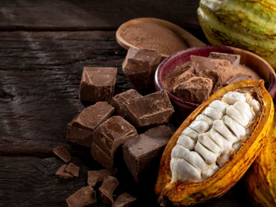 Semilla de cacao para hacer chocolate sin azúcar