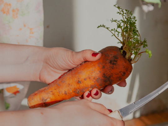 Joven no sabe limpiar zanahorias para evitar infecciones en el estómago. 