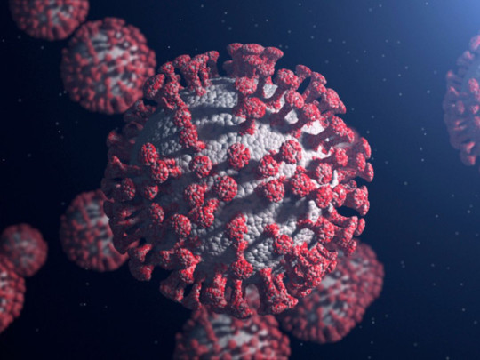 Ilustración de virus en blanco y rojo para ilustrar que Fragmentos de virus de Covid se quedan en los tejidos del cuerpo hasta por un año o más