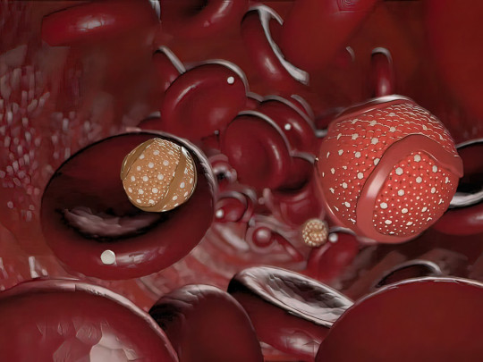 Células sanguíneas hemofilia