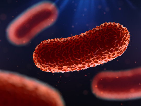 ilustración de bacteria que causa colitis
