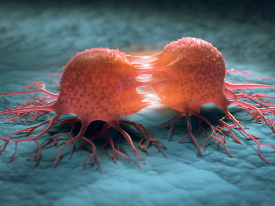 Células cancerígenas dividiéndose