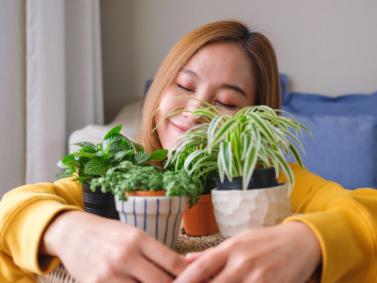 Mujer abraza a sus macetas con plantas