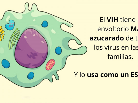 ¿Por qué aún no hay una vacuna contra VIH y sí contra el Covid-19?