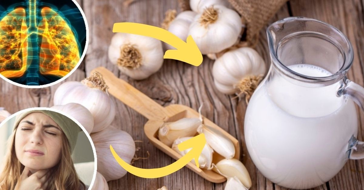7 razones por las que deberías tomar leche de ajo además de aliviar la tos  (RECETA)