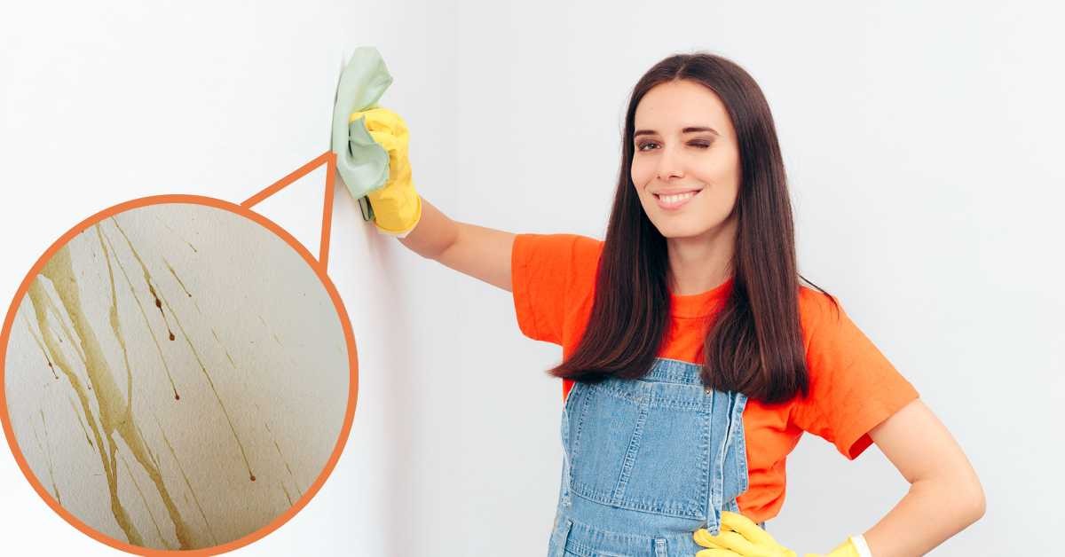 Como limpiar paredes sucias