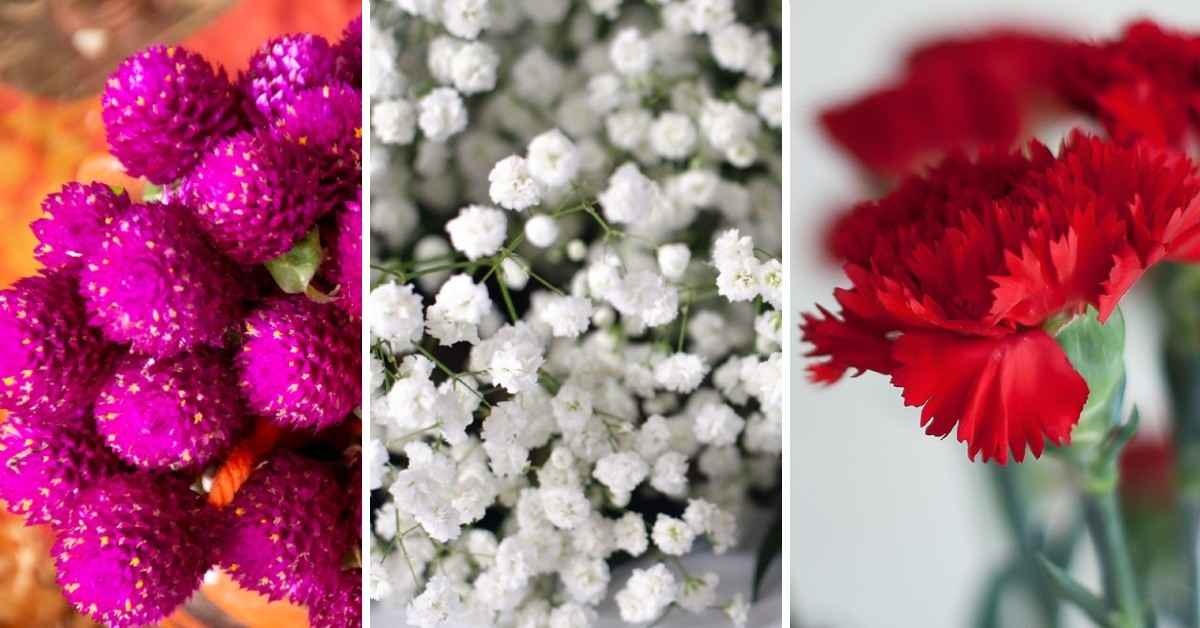 5 flores hermosas que no deben faltar en tu ofrenda de Día de Muertos