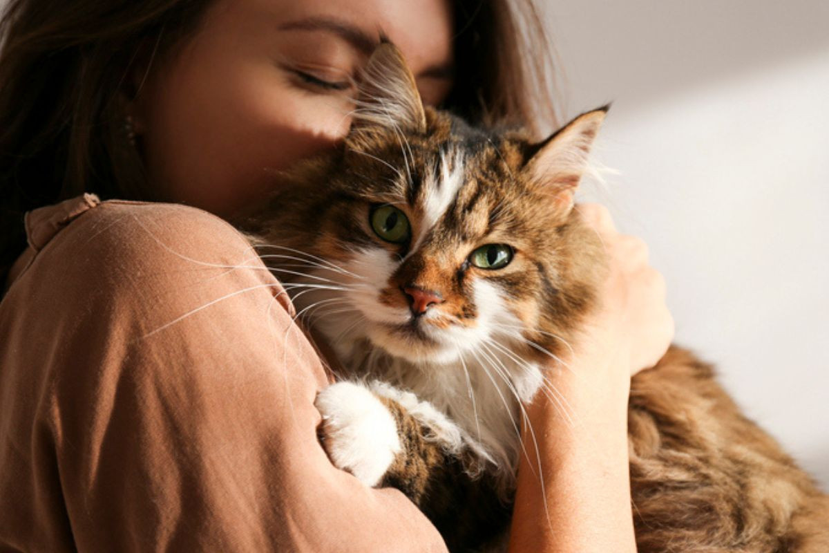 Mujer abrazando a gato para explicar los beneficios de tener uno en casa
