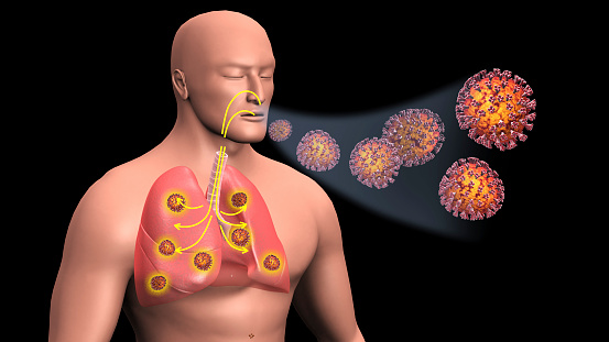 Tres tipos de coronavirus que pueden causar enfermedades respiratorias graves